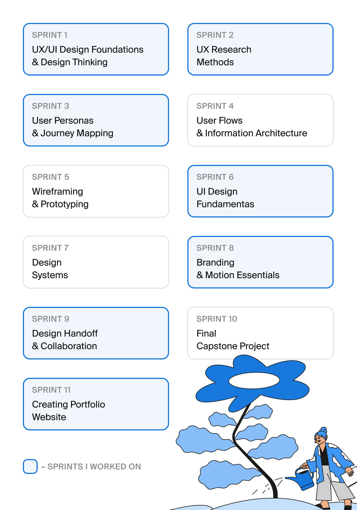 Curriculum structure