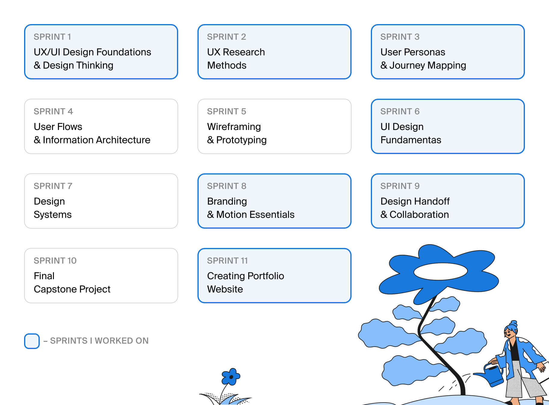 Curriculum structure